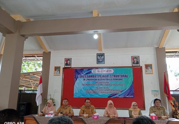 WhatsApp Image 2026-04-07 at 15.15.44